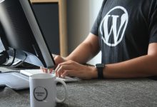 WordPress development