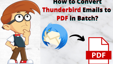 convert thunderbird to pdf