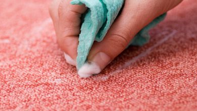 Effective Carpet Cleaning to Remove Stains