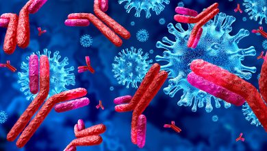 coronavirus antibodies