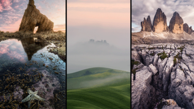 landscape photography in vertical format