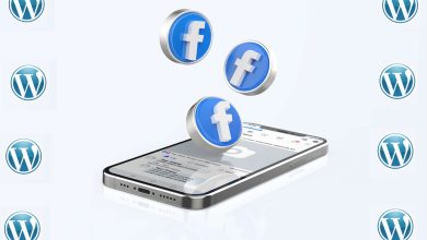 Facebook Feed Plugins