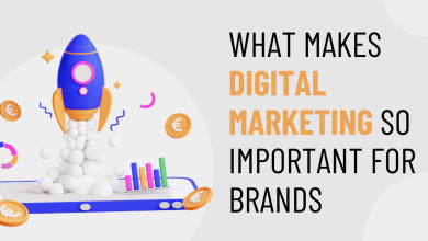 What makes digital marketing so important for brands 