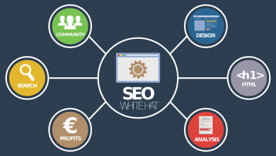 Seo company in jaipur