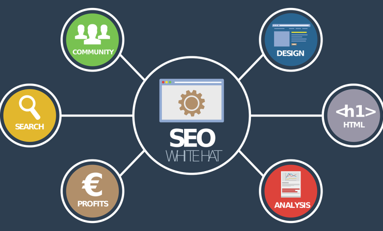 Seo company in jaipur