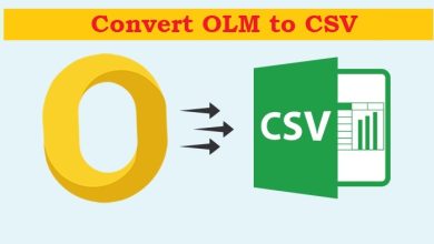 Convert OLM to CSV File