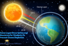 Ozone Layer Description and Measures for Students to Prevent Ozone Depletion