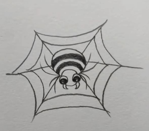 Spider For Kids